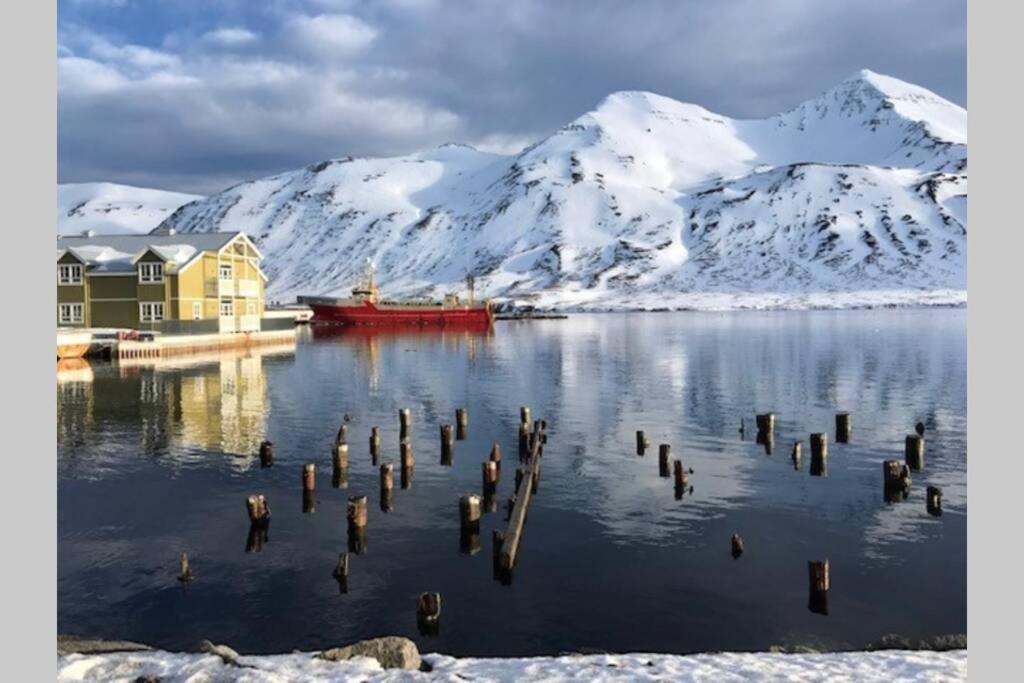 House With A Warm Soul In North Iceland Siglufjordur Экстерьер фото